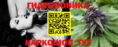 PSILOCYBIN Будённовск