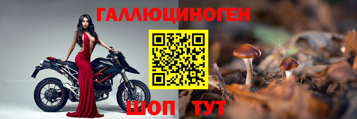 Псилоцибиновые грибы Magic Shrooms  Вход с VPN  Галлюциногенные грибы мухоморы  Саранск 